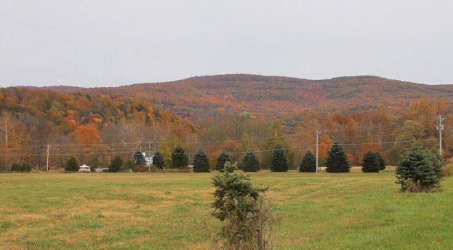 Pennsylvania Forest Land Expanded to Include Miller Mountain