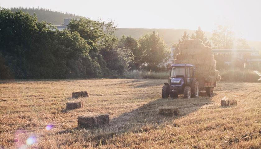 Work Farmer